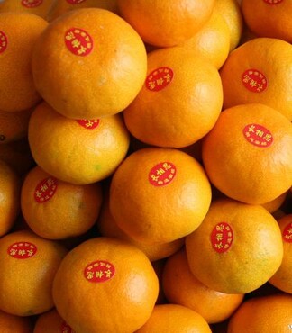 【长相思特级优质蜜橘 正宗临海涌泉蜜桔 宫川