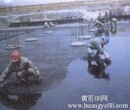 太湖牌聚氨酯防水涂料图片