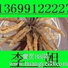 韶關回收東阿阿膠冬蟲夏草藏紅花燕窩鹿茸淡干海參