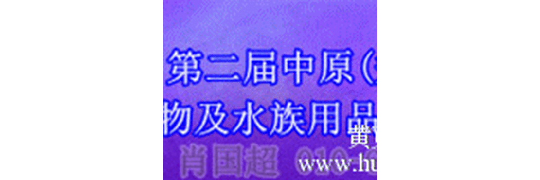 【2013河南郑州国际宠物及水族用品展览会】