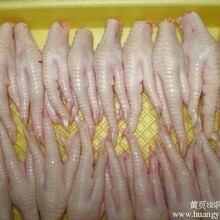 郑州批发冷冻鸡爪，鸡翅3008(盐焗专用）
