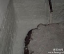 专业承接屋维修、厨房、厕所、楼面、等各种防水补漏图片