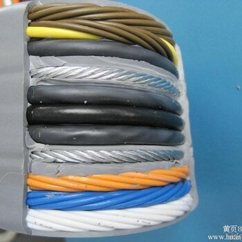 电梯随行网络电缆TVVB2GSTP上海了特种电线电缆有限公司
