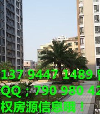 委小产权房,统建楼!_深圳松岗小产权房价格|图