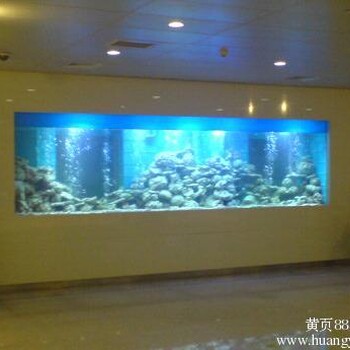 广州鱼缸维护/广州鱼缸造景/广州清洗鱼缸/广州机场路提供服务部