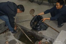 上海奉贤区西渡市政管道清淤-污水管道清洗图片5