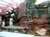 克拉玛依市专业景观水泥雕塑浮雕假山瀑布假树门头艺术造型模型壁画半景画微缩地貌复原