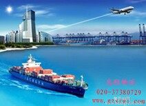 的广州到南宁物流专线,货物运输直达,广州邦轩物流图片3