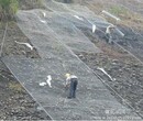 包山绿色防护网鄂州包山绿色防护网包塑菱形钢丝防护网