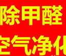 重庆除装修污染和除甲醛异味多少钱