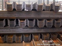 广州南沙拉森钢板桩施工图片0